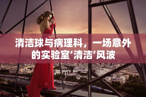 清洁球与病理科，一场意外的实验室‘清洁’风波