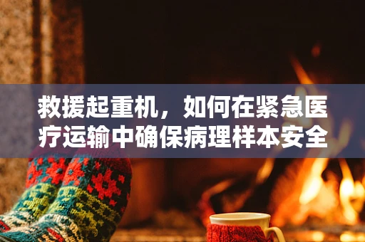 救援起重机，如何在紧急医疗运输中确保病理样本安全？