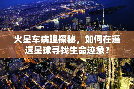 火星车病理探秘，如何在遥远星球寻找生命迹象？