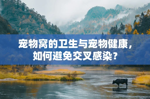 宠物窝的卫生与宠物健康，如何避免交叉感染？