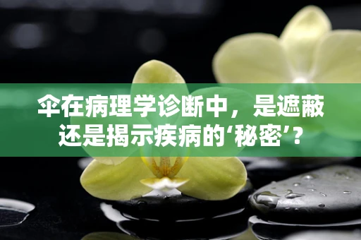 伞在病理学诊断中，是遮蔽还是揭示疾病的‘秘密’？