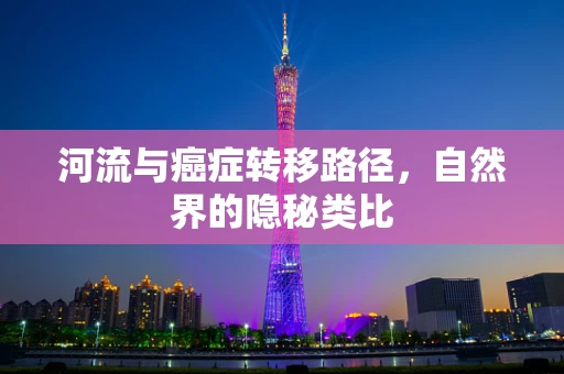 河流与癌症转移路径，自然界的隐秘类比