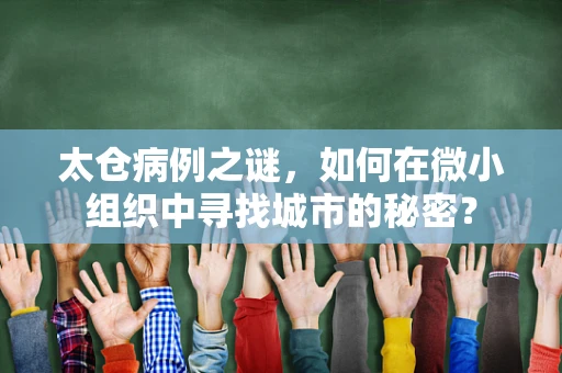 太仓病例之谜，如何在微小组织中寻找城市的秘密？