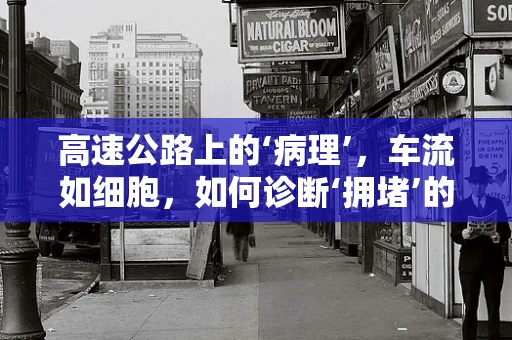 高速公路上的‘病理’，车流如细胞，如何诊断‘拥堵’的根源？