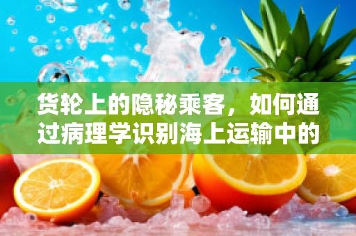 货轮上的隐秘乘客，如何通过病理学识别海上运输中的潜在健康风险？