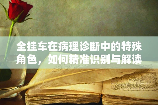 全挂车在病理诊断中的特殊角色，如何精准识别与解读？