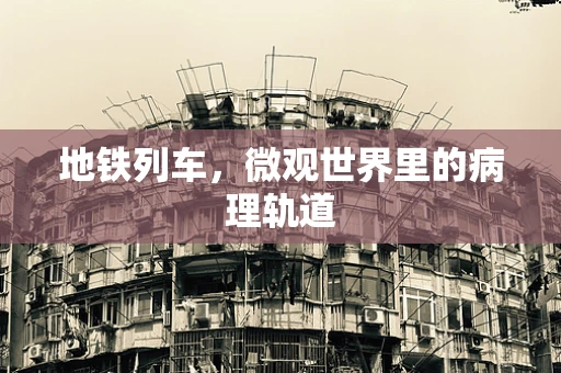 地铁列车，微观世界里的病理轨道