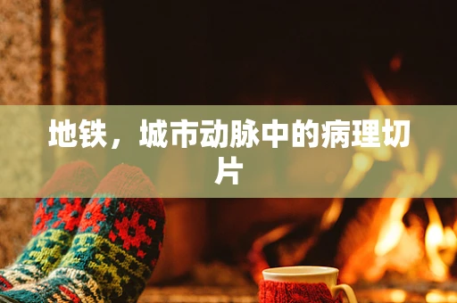 地铁，城市动脉中的病理切片
