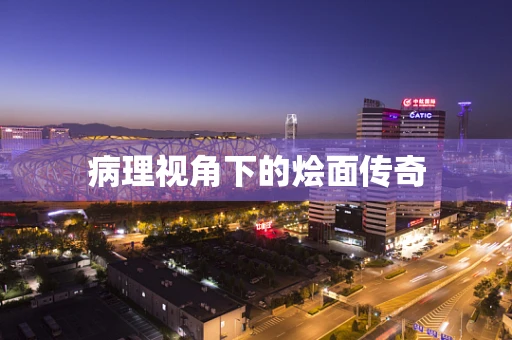 病理视角下的烩面传奇