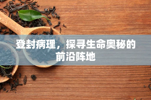 登封病理，探寻生命奥秘的前沿阵地