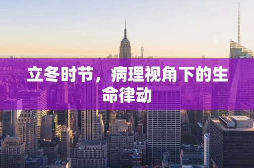 立冬时节，病理视角下的生命律动