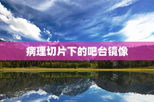 病理切片下的吧台镜像
