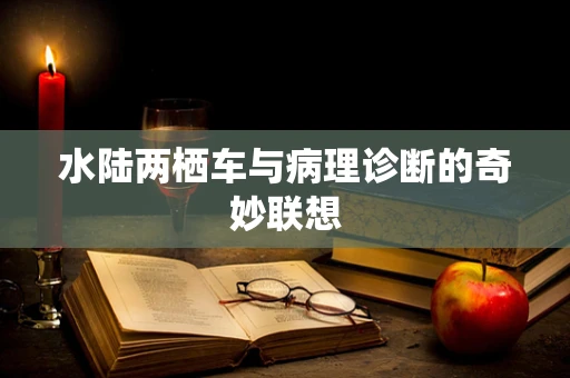 水陆两栖车与病理诊断的奇妙联想