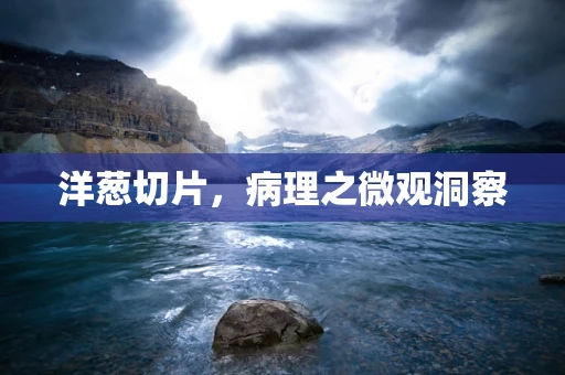 洋葱切片，病理之微观洞察
