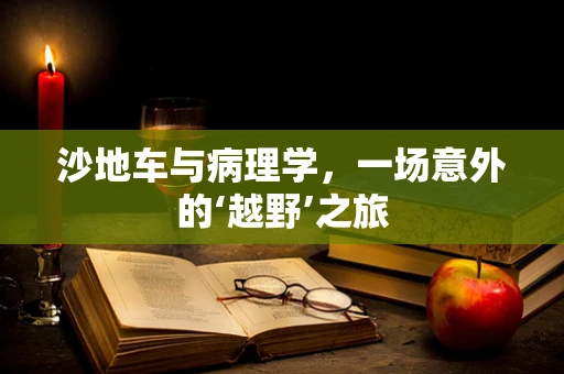 沙地车与病理学，一场意外的‘越野’之旅