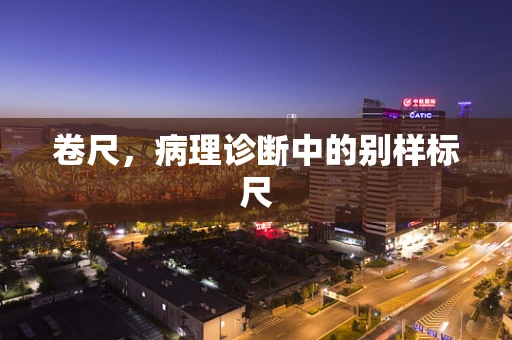 卷尺，病理诊断中的别样标尺