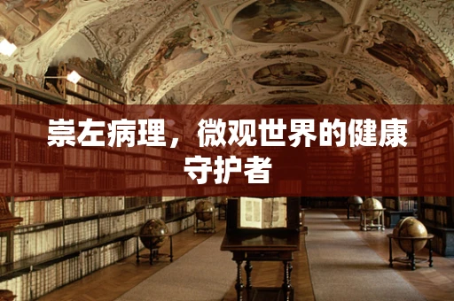 崇左病理，微观世界的健康守护者