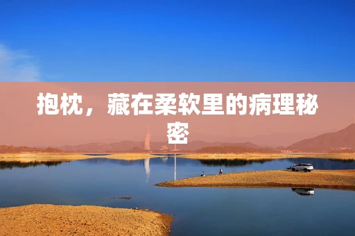 抱枕，藏在柔软里的病理秘密