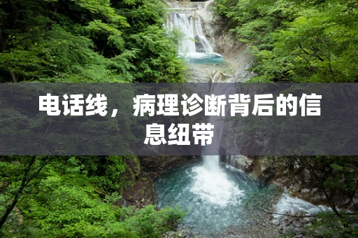 电话线，病理诊断背后的信息纽带