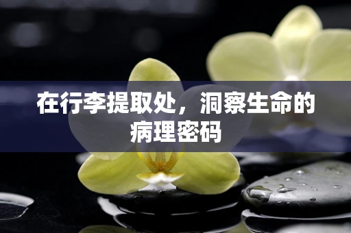 在行李提取处，洞察生命的病理密码