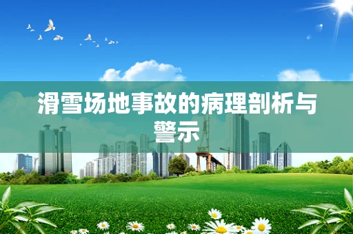 滑雪场地事故的病理剖析与警示