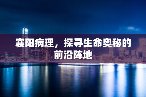 襄阳病理，探寻生命奥秘的前沿阵地