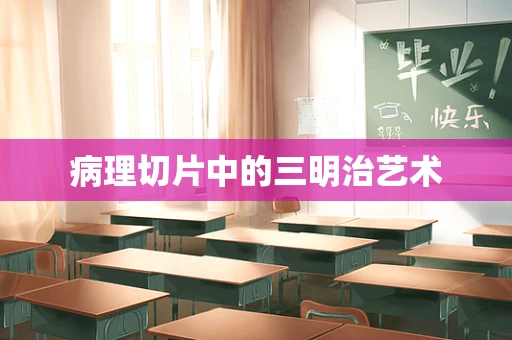 病理切片中的三明治艺术