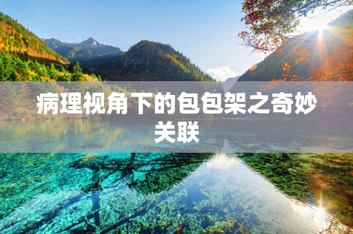 病理视角下的包包架之奇妙关联