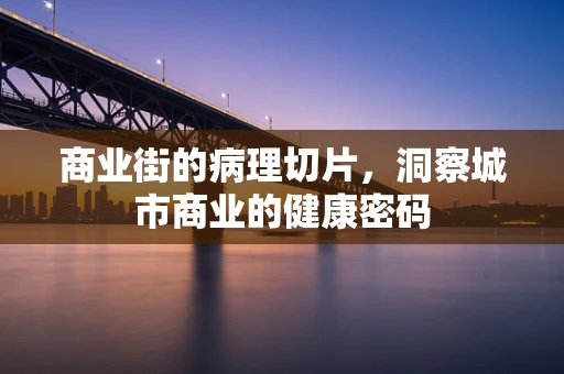 商业街的病理切片，洞察城市商业的健康密码