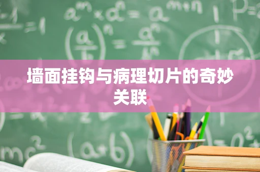 墙面挂钩与病理切片的奇妙关联