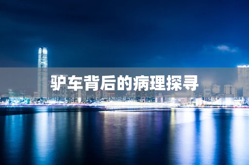 驴车背后的病理探寻