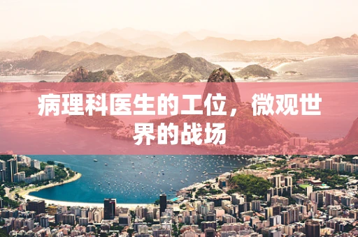 病理科医生的工位，微观世界的战场
