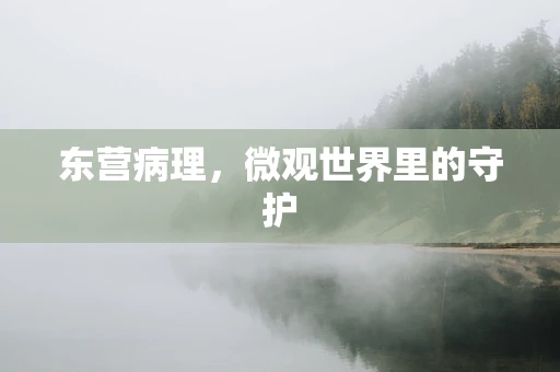 东营病理，微观世界里的守护
