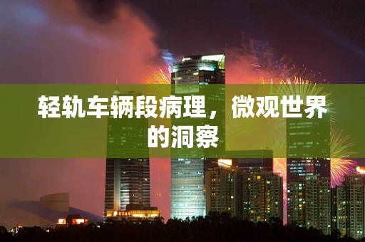 轻轨车辆段病理，微观世界的洞察