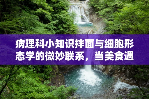 病理科小知识拌面与细胞形态学的微妙联系，当美食遇上医学？