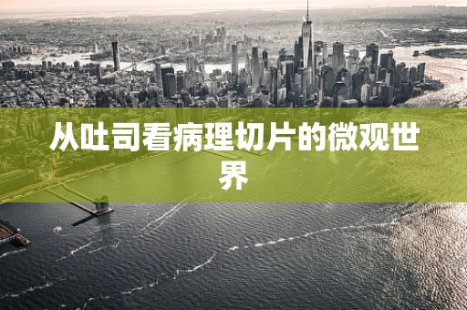 从吐司看病理切片的微观世界