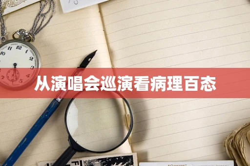 从演唱会巡演看病理百态