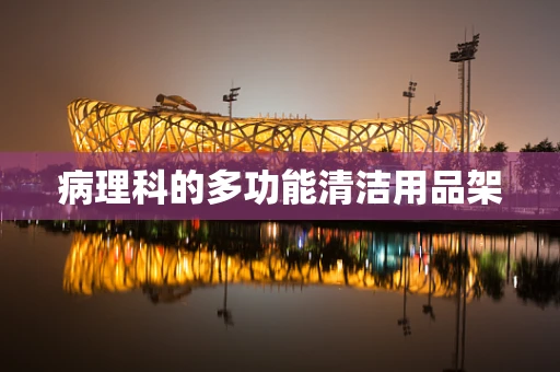 病理科的多功能清洁用品架