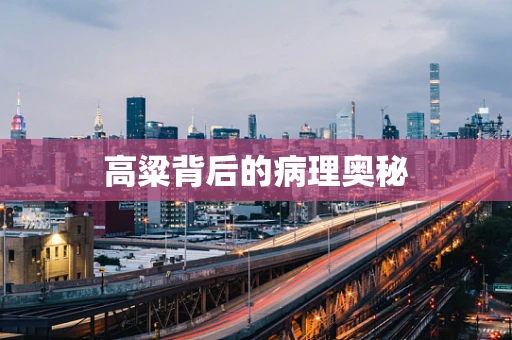 高粱背后的病理奥秘
