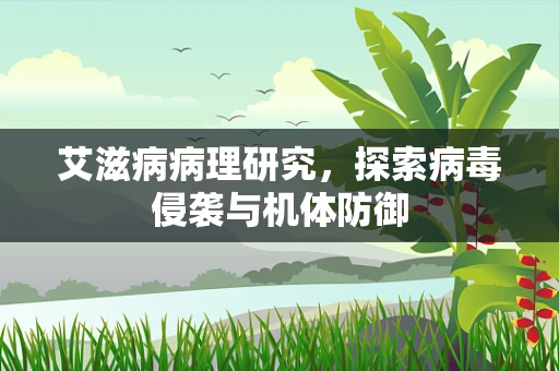 艾滋病病理研究，探索病毒侵袭与机体防御