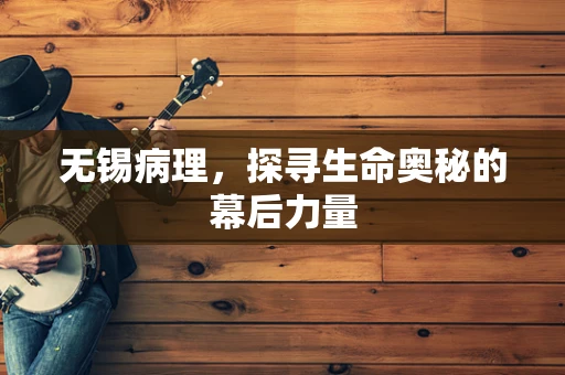 无锡病理，探寻生命奥秘的幕后力量