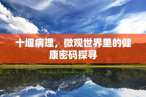 十堰病理，微观世界里的健康密码探寻