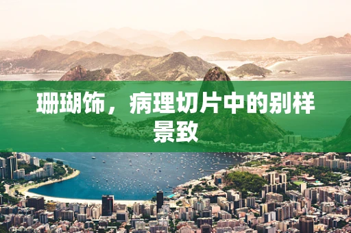 珊瑚饰，病理切片中的别样景致