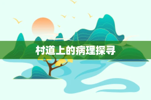 村道上的病理探寻
