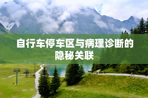 自行车停车区与病理诊断的隐秘关联