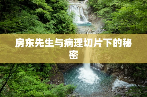房东先生与病理切片下的秘密