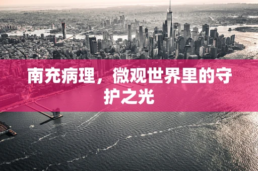 南充病理，微观世界里的守护之光
