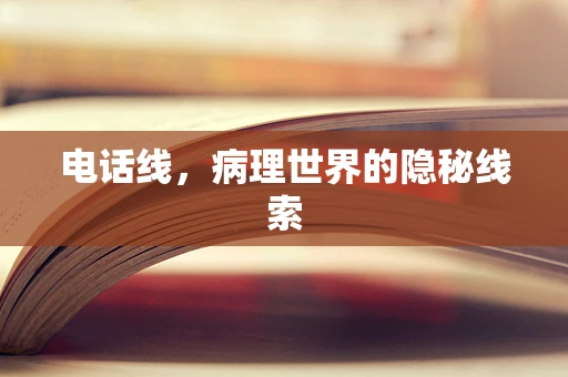 电话线，病理世界的隐秘线索