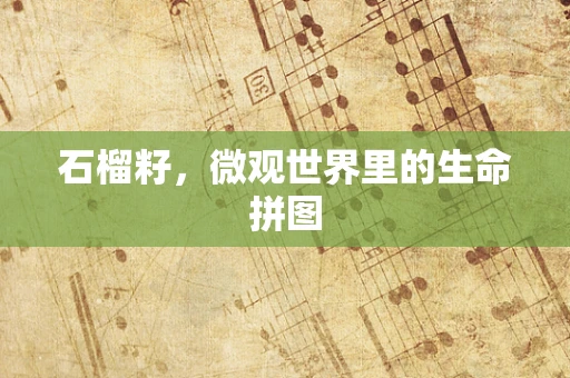 石榴籽，微观世界里的生命拼图