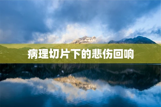 病理切片下的悲伤回响